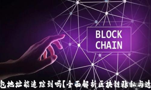 
TP钱包地址能追踪到吗？全面解析区块链隐私与透明性