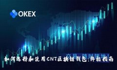 如何选择和使用CNT区块链钱包：终极指南