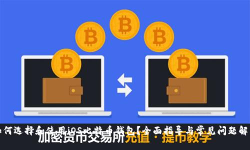 如何选择和使用iOS比特币钱包？全面指导与常见问题解答