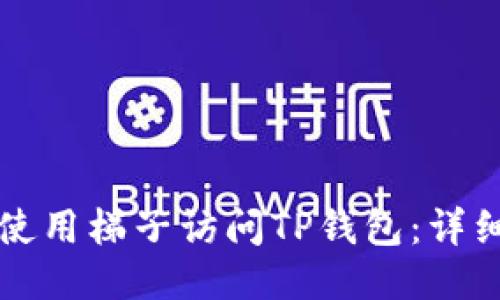 如何使用梯子访问TP钱包：详细指南