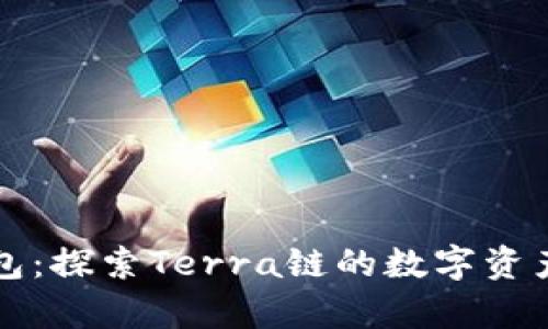 全面解析TP钱包：探索Terra链的数字资产管理解决方案