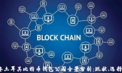 2023年土耳其比特币钱包公司全景分析：现状、选