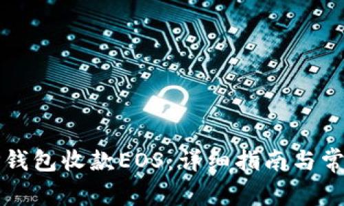 如何通过TP钱包收款EOS：详细指南与常见问题解析