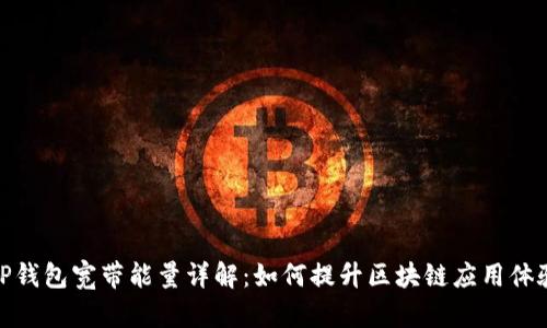 TP钱包宽带能量详解：如何提升区块链应用体验