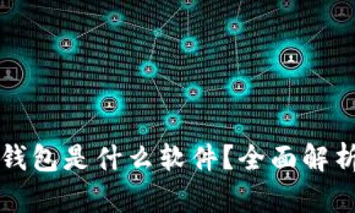 区块链公共钱包是什么软件？全面解析与应用实例