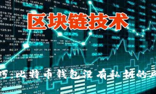 TP钱包使用技巧：比特币钱包没有私钥的风险与解决方案