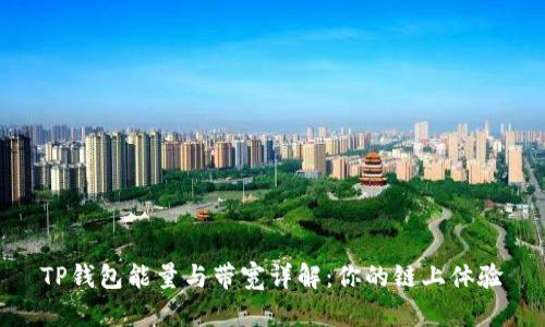 TP钱包能量与带宽详解：你的链上体验