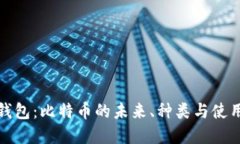 数字钱包：比特币的未来、种类与使用指南