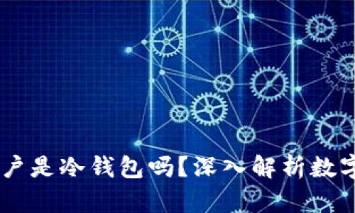 USDT资金账户是冷钱包吗？深入解析数字货币安全性