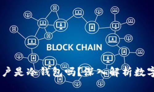 USDT资金账户是冷钱包吗？深入解析数字货币安全性