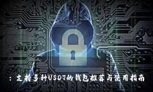 : 支持多种USDT的钱包推荐与使用指南